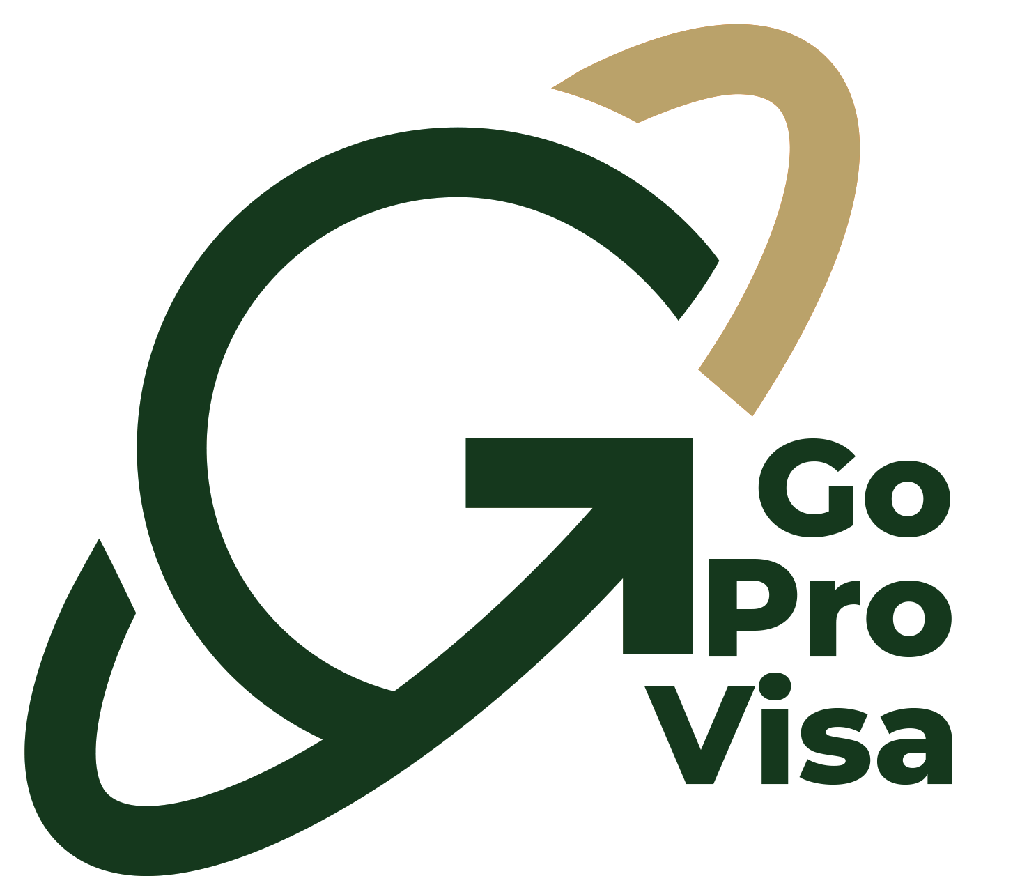 GoProVisa